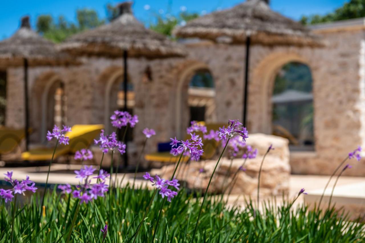Absolu Beldi Essaouira Acomodação com café da manhã Exterior foto